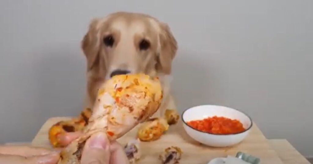 Chicken And Rice for Dog