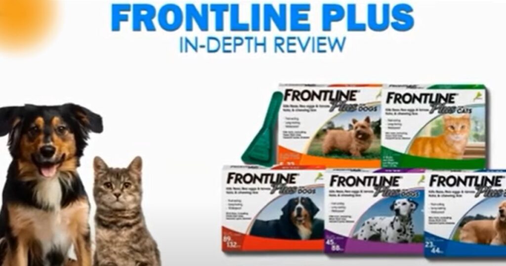 Advances Vs Frontline Plus