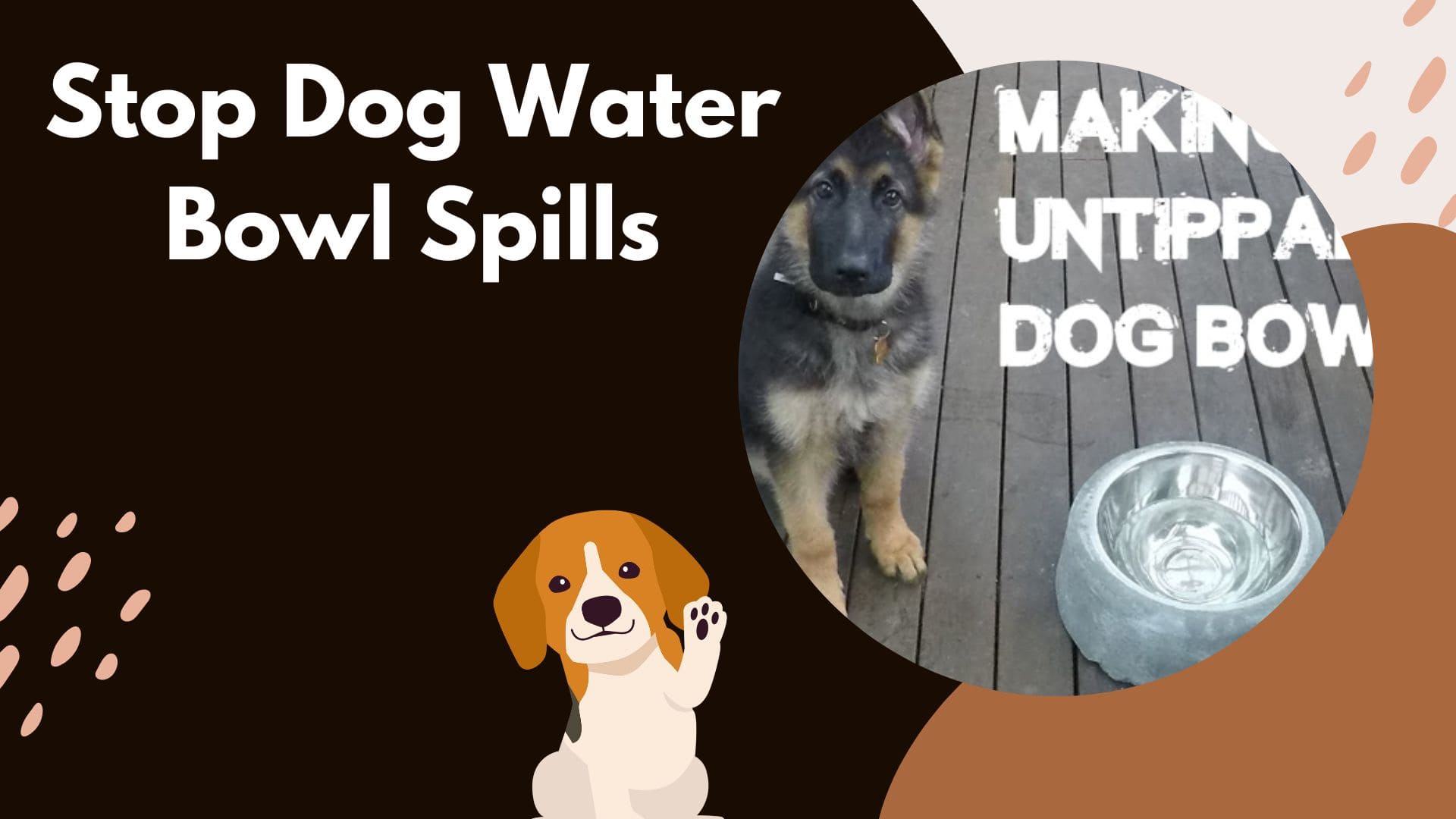 Stop Dog Water Bowl Spills