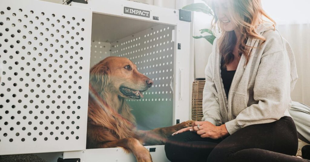 Dog to Stop Peeing in Crate