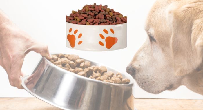 Dry Dog Food Good for